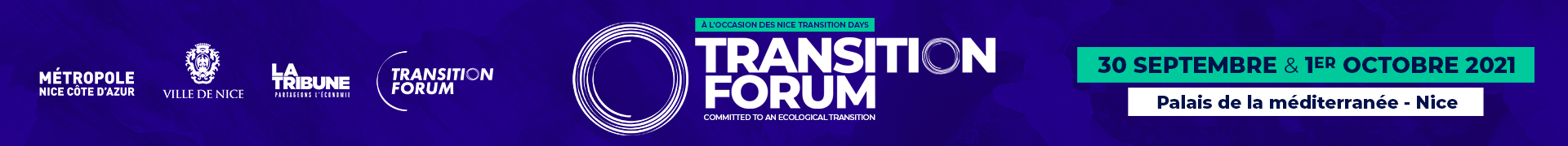 Transition Forum 2021